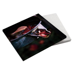 Das rote Blatt 20x20x2 cm (BxHxT)