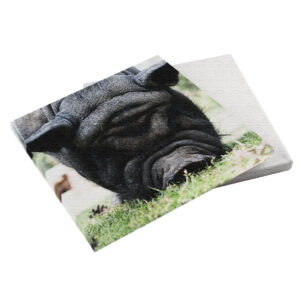 Hängebauchschwein 20x20x2 cm (BxHxT)