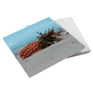 Annanas am Strand 20x20x2 cm (BxHxT)