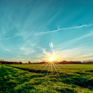 Sonnenaufgang auf grüner Wiese 20x20x2 cm (BxHxT)